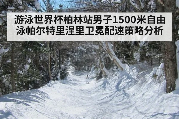 游泳世界杯柏林站男子1500米自由泳帕尔特里涅里卫冕配速策略分析